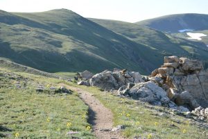 high trail
