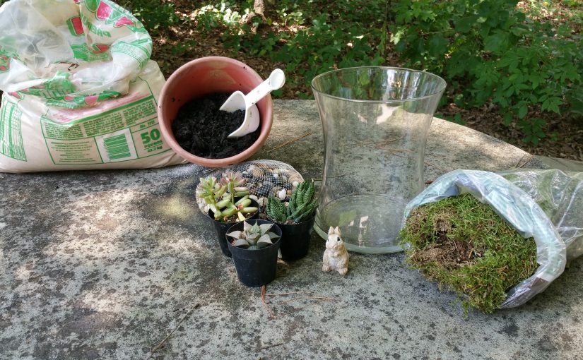 A Garden in a Bowl