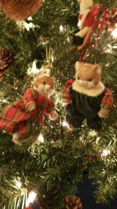 cats