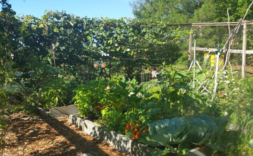 A Garden Like Granddaddy’s